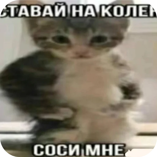 Стикер ромка