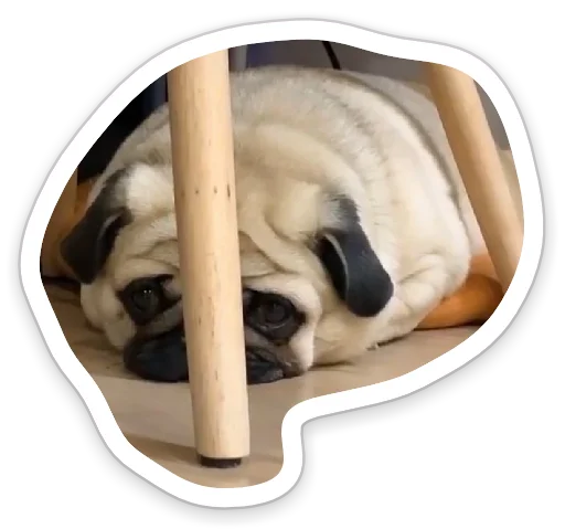 Стикер sad_pug_leonid