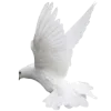 Эмодзи angel