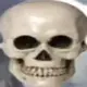 Стикер Skulls