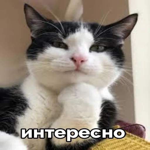 Стикер seals 2