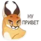 😼