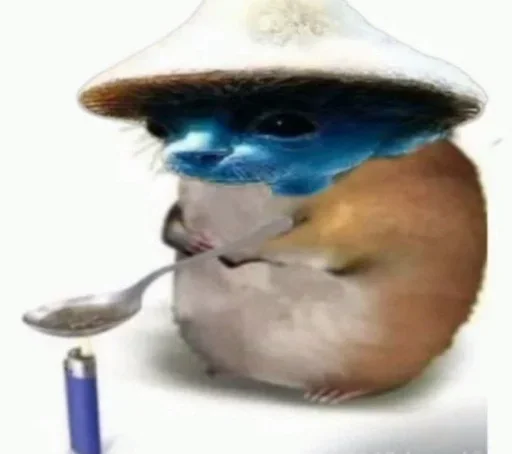 Стикер шайлушай