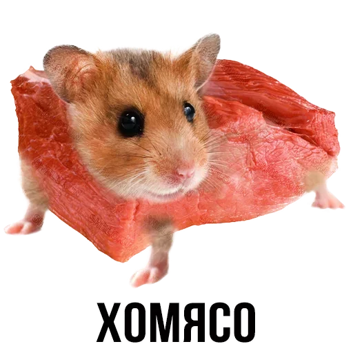 Стикер Шлакоблокунь и друзья