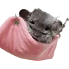 Эмодзи шиншилла