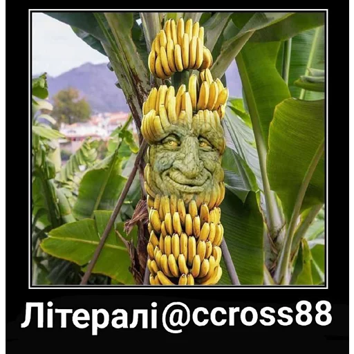 Стикер Шизослав Дрєвоштаб