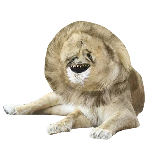 Стикер Riffraff