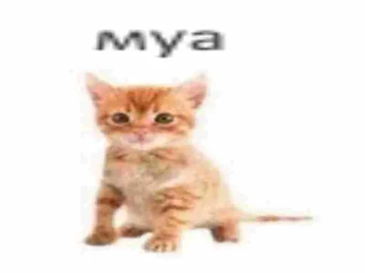 Стикер shlrona