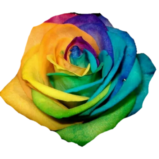 Стикер فواصل ويزيدنا القرآن خشوعا2