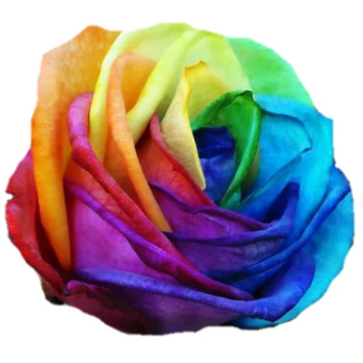 Стикер فواصل ويزيدنا القرآن خشوعا2