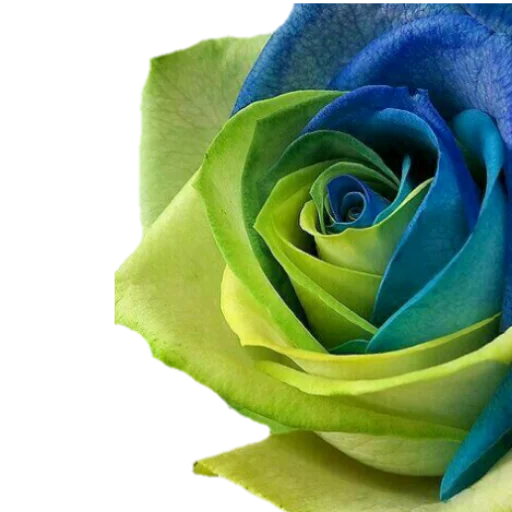 Стикер فواصل ويزيدنا القرآن خشوعا2