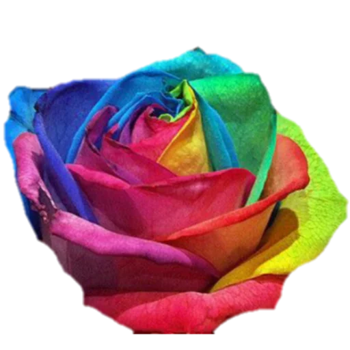 Стикер فواصل ويزيدنا القرآن خشوعا2