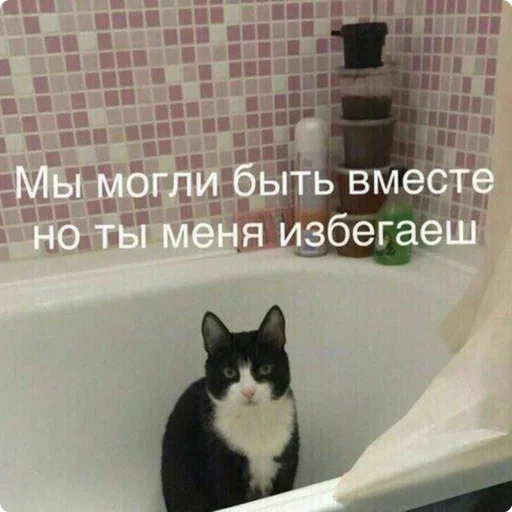 Стикер Шучу как хочу