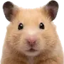🐹