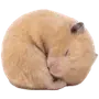 Эмодзи silly hamsters