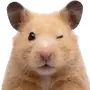 Эмодзи silly hamsters