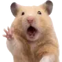 Эмодзи silly hamsters
