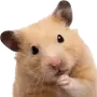 Эмодзи silly hamsters