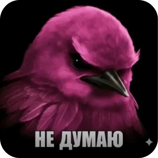 Стикер Сленг