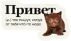 Стикер Слово дня