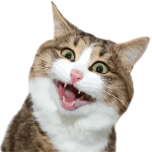 Стикер на все случаи жизни