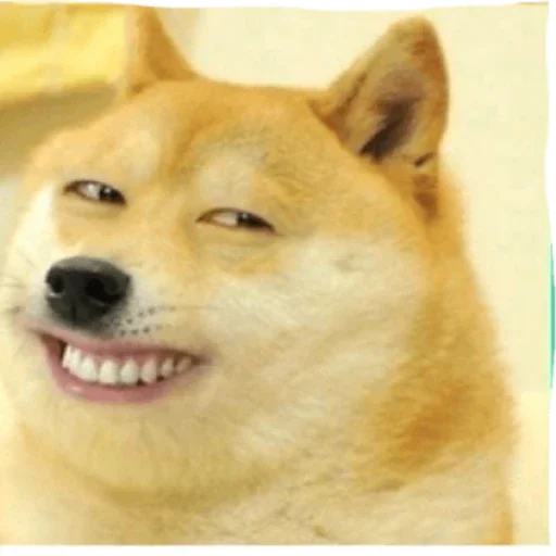 Стикер на все случаи жизни