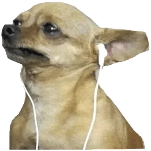 Стикер на все случаи жизни