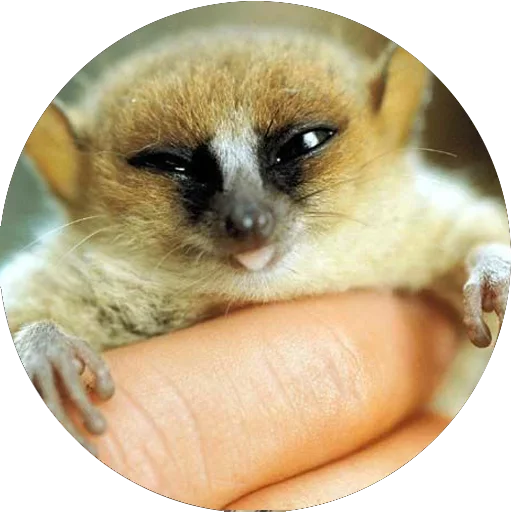 Стикер Butterflies