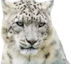 Стикер Snep Lep Blep