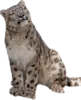 Стикер Snep Lep Blep