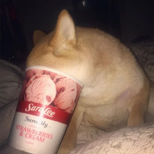 Стикер sobakens