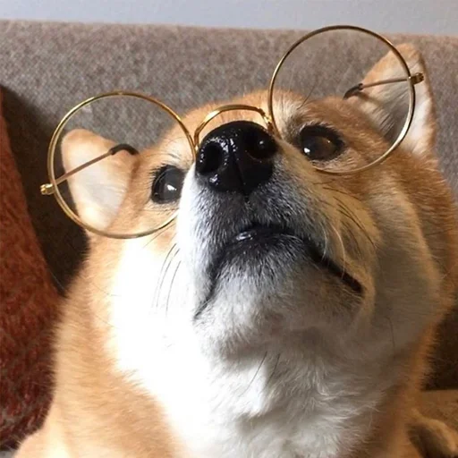 Стикер sobakens