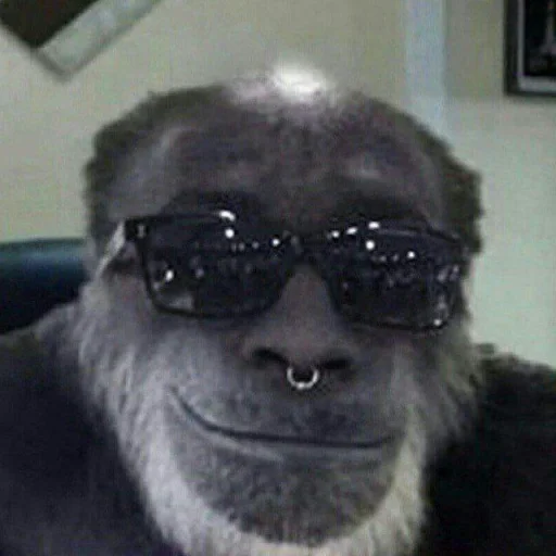 Стикер Спизженные пикчи и стикеры для личного пользования