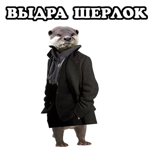 Стикер Sparrow