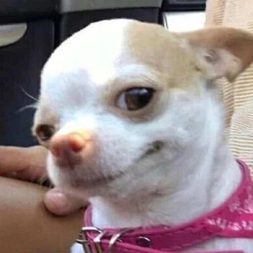 Стикер 👈 Тут кайф 🎧