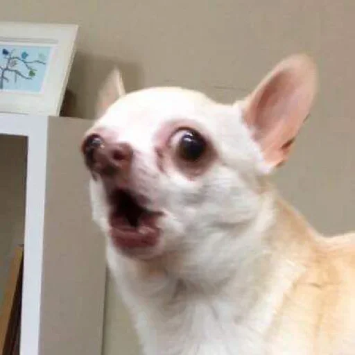 Стикер 👈 Тут кайф 🎧