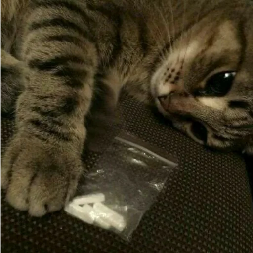 Стикер Наліпки