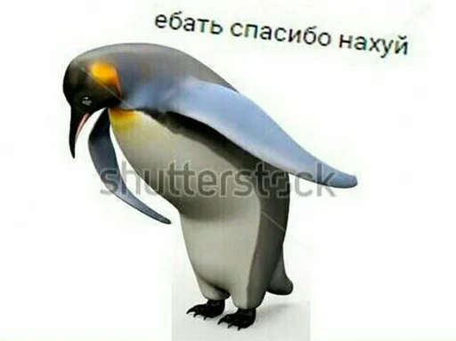 Стикер Memes