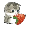 Эмодзи Котики
