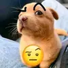Стикер Dogs