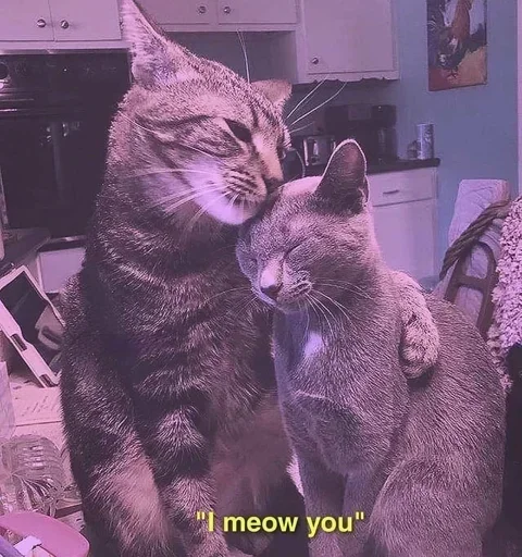 Стикер Мяв мяв