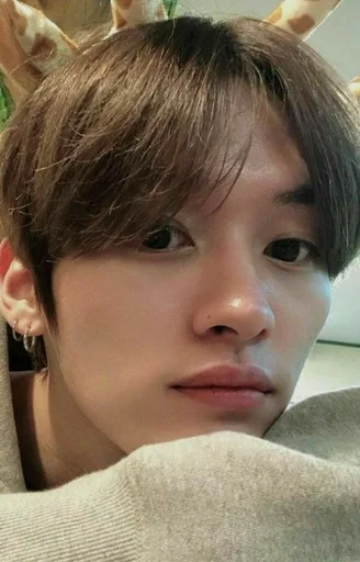 Стикер Stray Kids