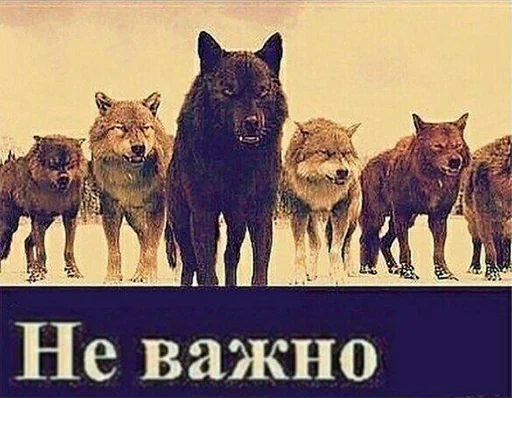 Стикер Сильный не тот, кто сильный