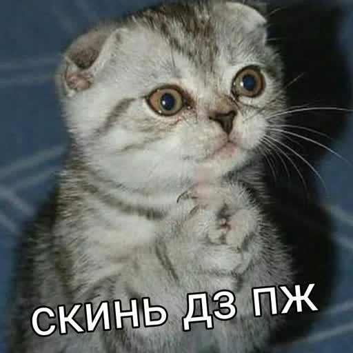 Стикер учеба