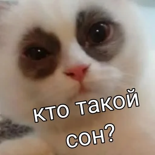 Стикер учеба