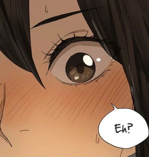 Стикер Sun Jing