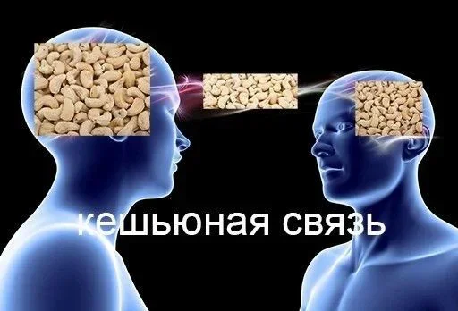 Стикер Memes | Мемы