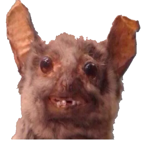 Стикер taxiderm