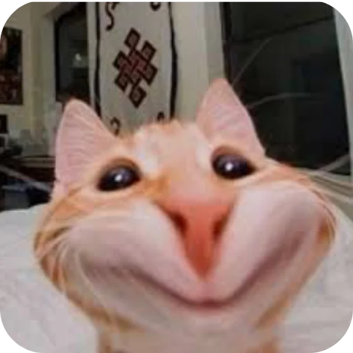 Стикер Group Chatting