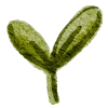 🌱